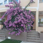 Gordana 2 *
